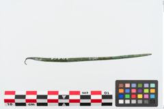 Foto von Bronzerollenkopfnadel (NHMW-PRAE-024051)